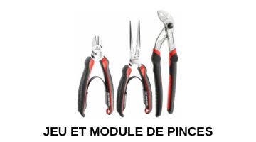 Jeu et module de pinces