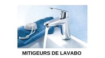 Mitigeurs de lavabo