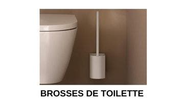 Brosse de toilette