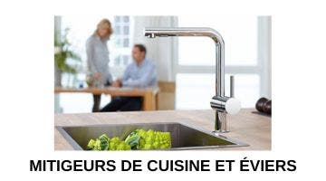 Mitigeur de cuisine et évier