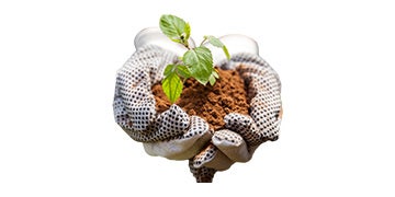 Gants jardinage